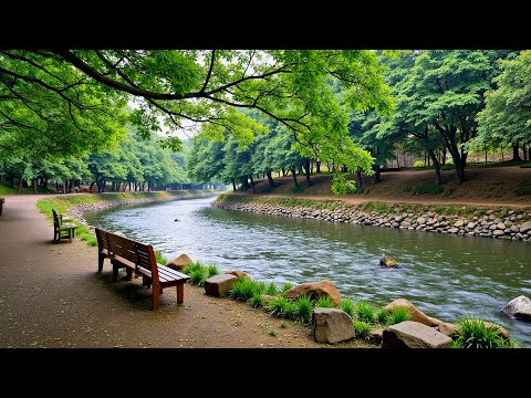 Видео: Красивая расслабляющая музыка🌿 Перестаньте думать слишком много, музыка для снятия стресса, музыка