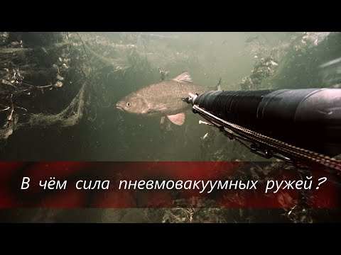 Видео: ДИАЛОГИ О ПОДВОДНОЙ ОХОТЕ. ПНЕВМОВАКУУМ