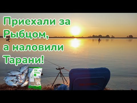 Видео: Приехали ловить рыбца, а наловили тарани / С Фидером на Дон / Рыбалка на большой реке@FISHMIRrostov