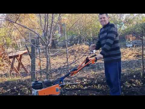 Видео: Сделали обрезку деревьев.Посадили клубнику и  чеснок #работаемдома #работа на участке #сад и огород