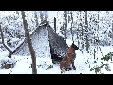 Видео: Зимний кемпинг в метель с моей собакой | Выживание в лесу, Приготовление пищи на плите