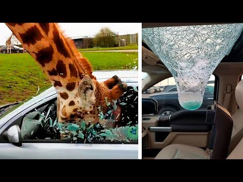 Видео: Вот это поворот! Такого они не ожидали