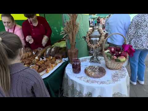 Видео: Селижарово_2024
