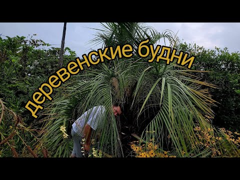 Видео: Дом в Грузии. Часть 7. Деревенские будни