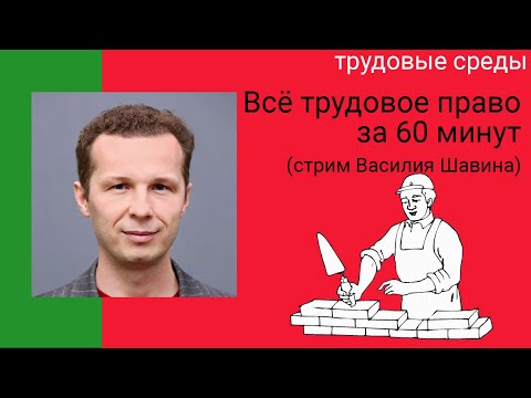 Видео: Всё трудовое право за 60 минут