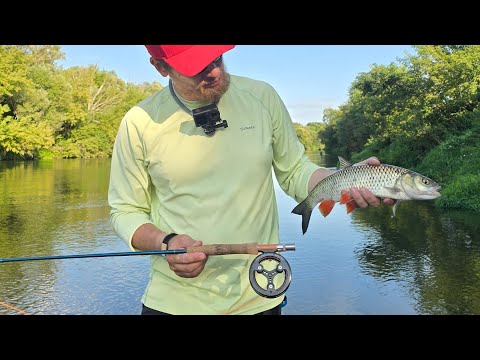 Видео: Удочка для новичков нахлыста Redington Crosswater 590-4 9ft, можно ли ей вообще ловить рыбу ? 