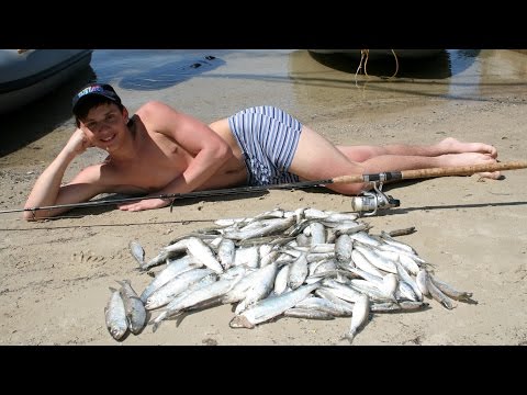 Видео: Ловля в ДОНУ самой известной рыбы в мире!