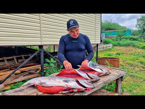 Видео: ВОТ ОНО СЧАСТЬЕ РЫБАКА! За королевским лососем на Камчатку. Рыбалка на чавычу на реке Большая.