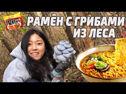 Видео: Рамён с лесными грибами на природе. Готовим рамён по-корейски