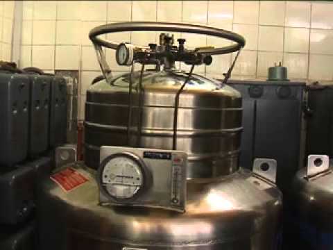 Видео: Получение жидкого гелия