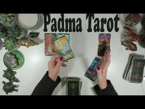 Видео: ВЕСЫ♎️ВАМ НУЖНО ЗАКРЫТЬ ЭТУ ДВЕРЬ И НИКОГДА НЕ ОГЛЯДЫВАТЬСЯ НАЗАД! 10-16 НОЯБРЯ. Еженедельное гад...