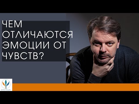 Видео: Отличие чувств от эмоций | Константин Дуплищев.