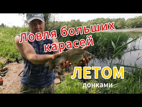 Видео: ЛОВЛЯ БОЛЬШИХ КАРАСЕЙ ЛЕТОМ