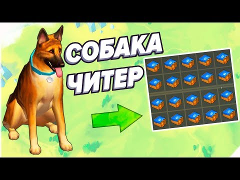 Видео: ПОЛУЧИЛСЯ БИМ - СОБАКА ЧИТЕР Last Day on Earth: Survival