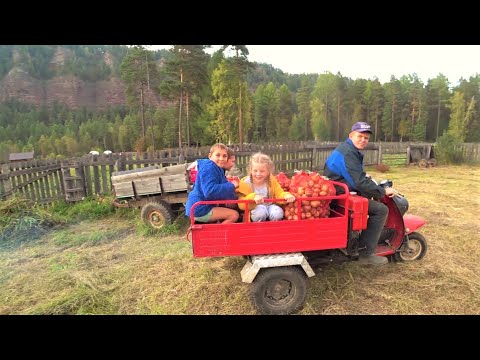 Видео: Лето быстро пролетело. Ребятишек в школу, урожай в подполье