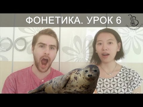 Видео: 6 урок. Произносим согласные j-q-x и -ng. Фонетика китайского языка с носителем