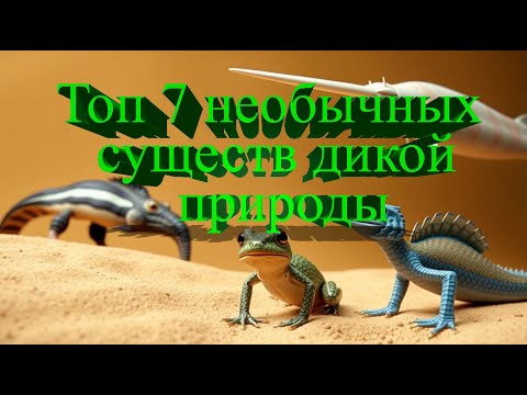 Видео: Топ 7 необычных существ дикой природы