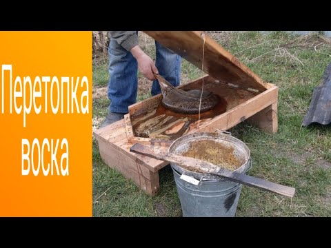 Видео: Перетопка воска. Воскопресс лисица