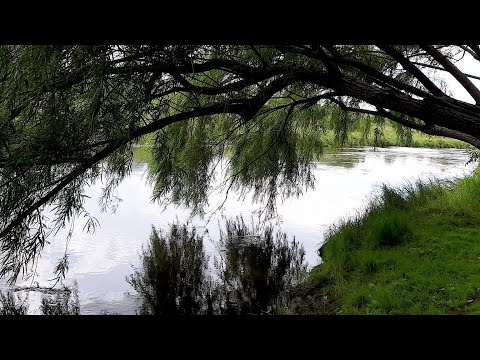 Видео: ПЕТРОКАМЕНСКИЙ ПРУД И РЕКА НЕЙВА