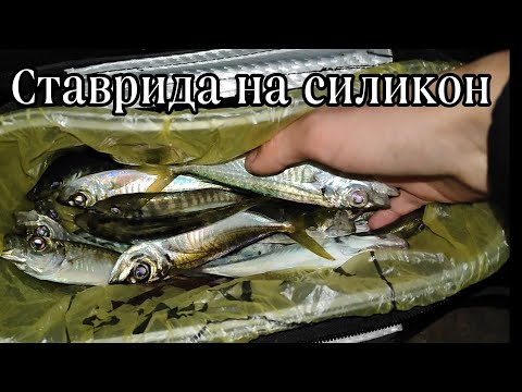 Видео: Ловля ставриды на силикон после "шторма века".Рыбалка на Черном море.