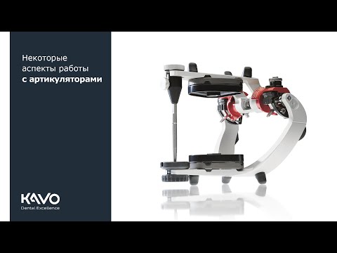 Видео: Некоторые аспекты работы с артикуляторами