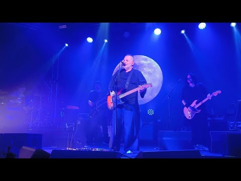Видео: Вадим Самойлов. Архангельск. Концерт в клубе "М33" (9.11.24)