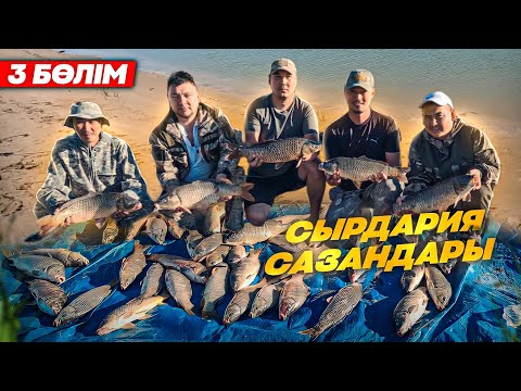 Видео: СЫРДАРИЯ САЗАНДАРЫ ( 3-ШІ БӨЛІМ ) ҚАРМАҚТАРҒА ДАМЫЛ ЖОҚ. ҚАМБАШ КӨЛІ. ОГРОМНЫЕ САЗАНЫ. Carp fishing