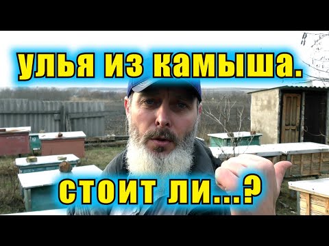 Видео: УЛЕЙ КАМЫША. КРАТКИЙ ОБЗОР. СТОИТ ЛИ...?