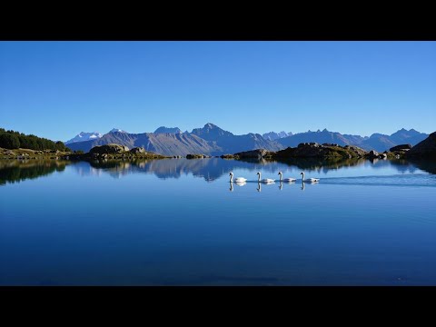 Видео: "Не знаю, что мне день несёт, Но не тревожусь я" #worship #gospel #music #музыка #soul