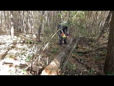 Видео: Снова за дровами .