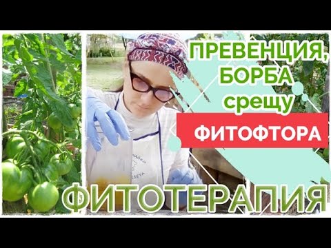 Видео: 2.Топ 5 рецепти 2020 ФИТОТЕРАПИЯ срещу ФИТОФТОРА по доматите. Еко, био борба, превенция против мана.