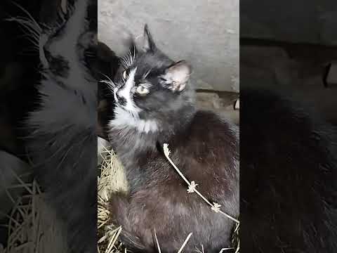 Видео: Чем я занимаюсь по вечерам???🤔🔦🧹