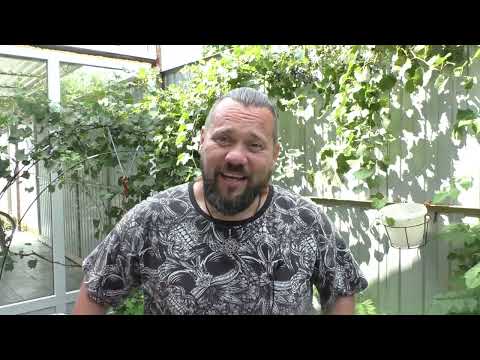 Видео: КТО ТАКОЙ АПОСТОЛ ПАВЕЛ/ Я САМ В ШОКЕ /ИЗ-ЗА ОДНОГО СТРАДАЮТ ТЕПЕРЬ ВСЕ?