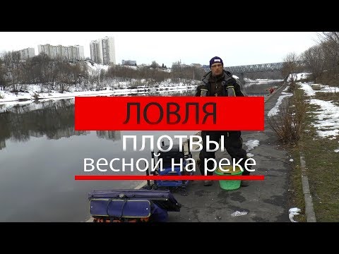 Видео: ловля плотвы весной на реке