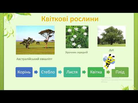 Видео: Різноманітність рослин у природі