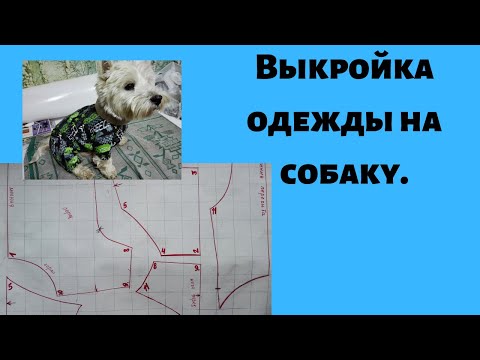 Видео: Выкройка одежды на собаку.