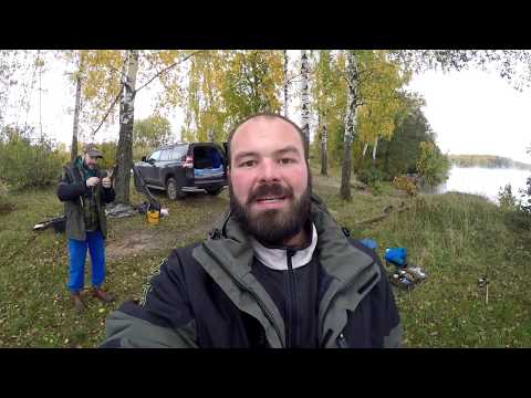 Видео: Карпо-карасевый Десногорск! Информационная рыбалка.