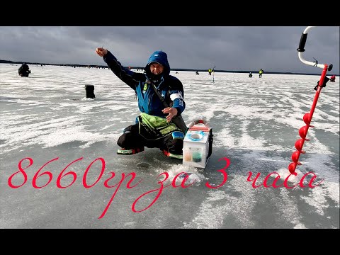 Видео: Пять рыб в минуту Чемпионат Мира со льда на мормышку Литва Шяуляй Вторая часть