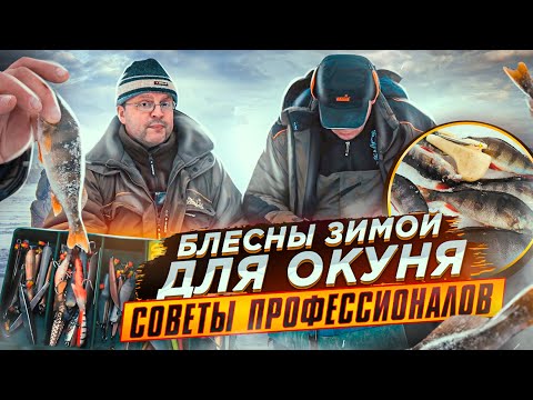 Видео: Блесны зимой для окуня: тактика и техника ловли. Советы профессионалов