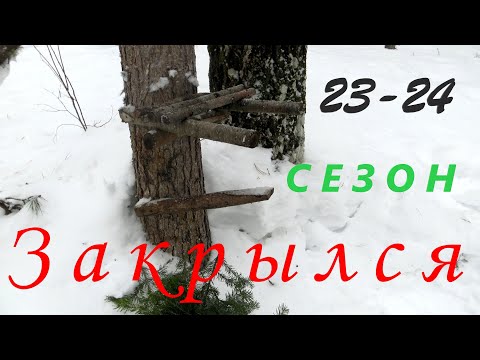 Видео: Закрытие путика Последний трофей Зверь слегка зашевелился появились следы зайца и соболя Все ждут