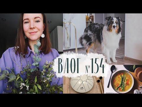 Видео: Домашний влог. Забота, собака, вкусная еда. Влог №154