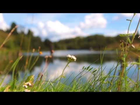 Видео: ВЫТЕГОРСКИЙ РАЙОН - презентационное видео