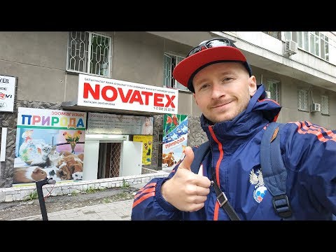 Видео: NOVATEX. НОВЫЙ РЫБОЛОВНЫЙ МАГАЗИН. СНАСТИ ДЛЯ ФОРЕЛИ.