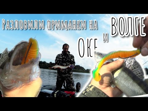 Видео: Щука на ВОЛГЕ судаки на ОКЕ.Рыбалка на джиг в черте города. Ливень прогнал с рыбалки.