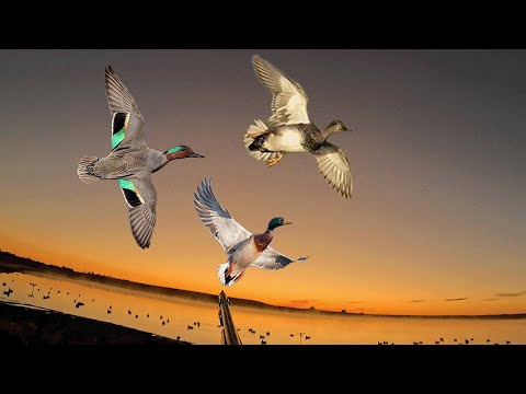 Видео: БЫСТРЫЕ ПРЕДЕЛЫ СЕВЕРНОЙ ДАКОТЫ!!