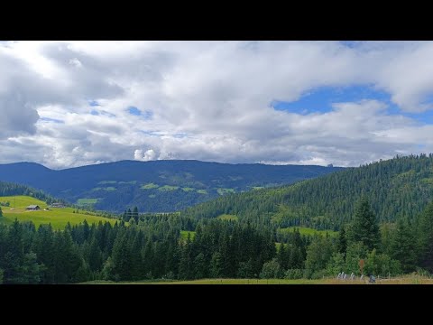 Видео: Австрия. Как тут используют пастбища и сенокосы.
