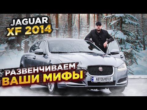 Видео: Jaguar XF 2014. Недооцененная машина с надежным двигателем