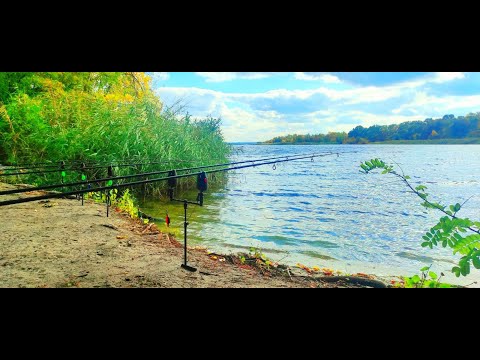 Видео: РЫБАЛКА В ОКТЯБРЕ НА ФЛЭТ. ЭКСПЕРИМЕНТ С ДИСТАНЦИЕЙ ЛОВЛИ.