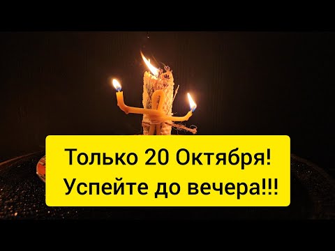 Видео: 🔥 Только 20 Октября ! Чищу вас от порчи и перекрытых дорог 🪐 Открываю пути жизни