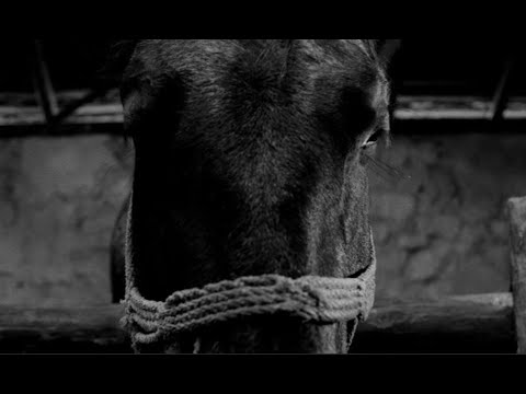 Видео: "Туринская лошадь" 2011 г. Биография режиссера Бела Тарра и символика фильма.